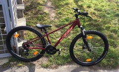 Bicicletta KTM Penny Lane 272 (junior)